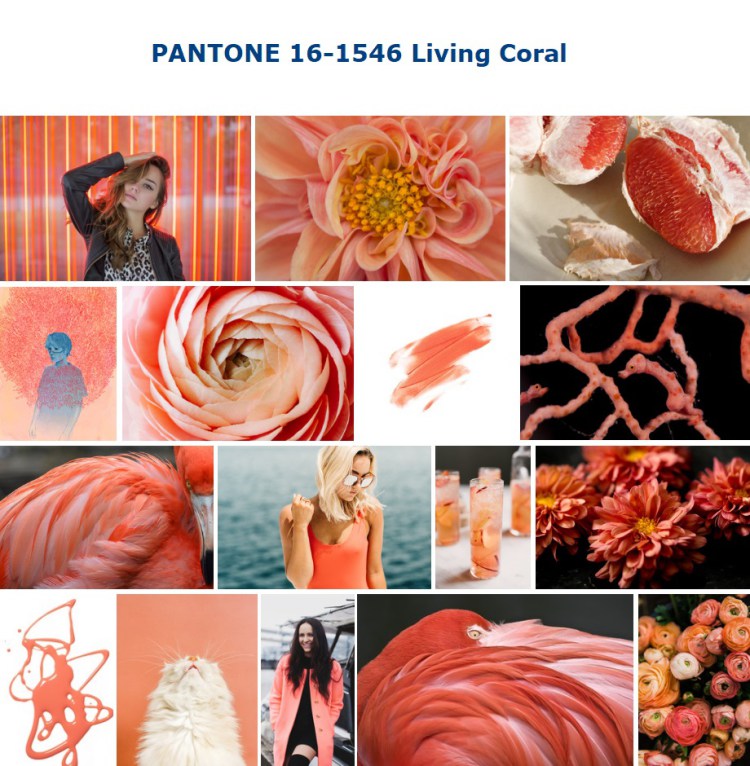 Living Coral