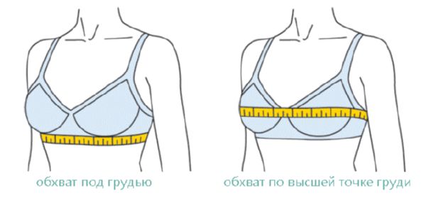 Мерки для бюстгальтера