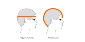замеры для валяния шапки