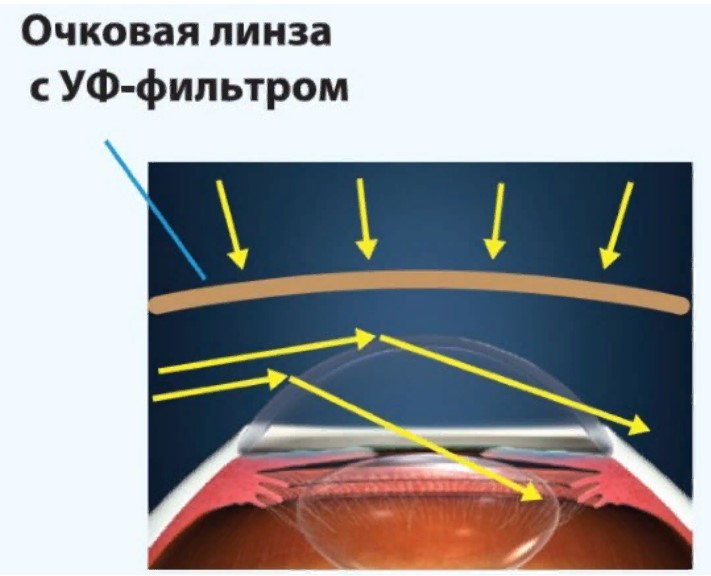 степень 6