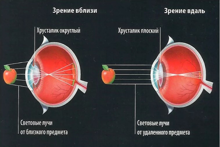 зрение 3