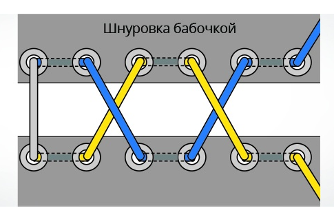 бабочка